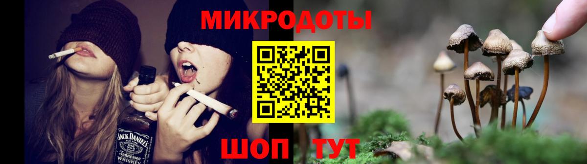 Псилоцибиновые грибы ЛСД Тулун